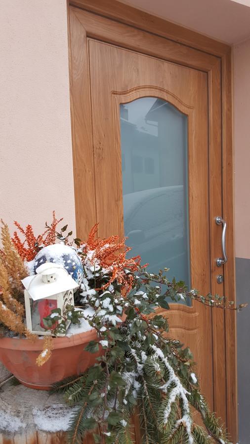 Casa Di Girolamo Διαμέρισμα Predazzo Εξωτερικό φωτογραφία